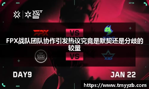 FPX战队团队协作引发热议究竟是默契还是分歧的较量