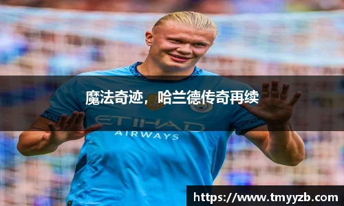 魔法奇迹，哈兰德传奇再续
