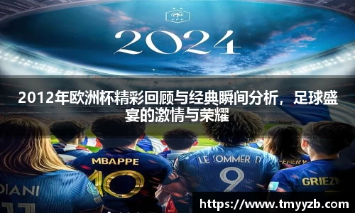 2012年欧洲杯精彩回顾与经典瞬间分析，足球盛宴的激情与荣耀